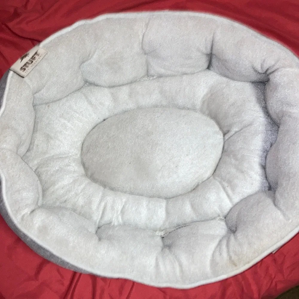 Cat or little dog bed